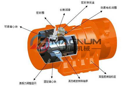 振動篩電機結(jié)構(gòu)圖